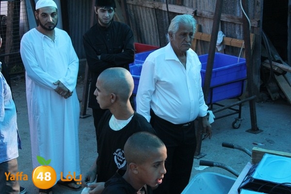 ada7y 116 n1 (14).JPG